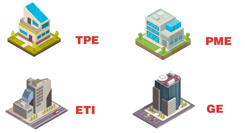 Les seuils définissant la taille des entreprises